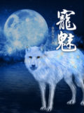 The Charm of Soul Pets Cover Image