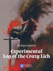 The Experimental Log of the Crazy Lich Cover Image