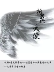 Broken-Winged Angel Cover Image