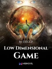 Low Dimensional Game Cover Image