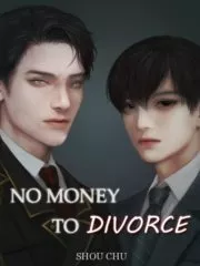 No Money to Divorce Cover Image