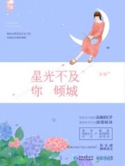 Starlight Has No Past Cover Image