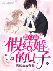The Shadowy Wedding Day with the President Cover Image