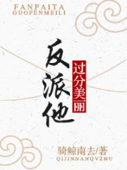 The Villain is Outrageously Beautiful Cover Image