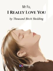 Mr Fu, I Really Love You Cover Image