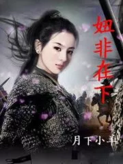 Niu Fei Zai Xia Cover Image