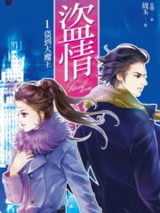 Stolen Love Cover Image