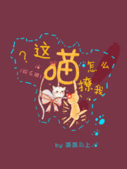 How Could This Cat Tease Me? Cover Image