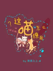 How Could This Cat Tease Me? Cover Image