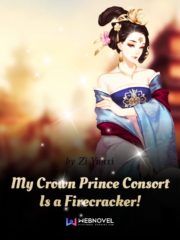 My Crown Prince Consort Is a Firecracker Cover Image