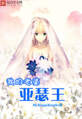 My Wife, King Arthur Cover Image