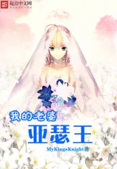My Wife, King Arthur Cover Image