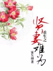 Rebirth Of A Virtuous Wife Cover Image
