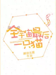 The Last Cat in the Universe Cover Image