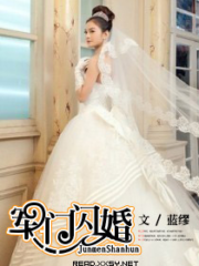 Commander in Chief’s Flash Marriage Cover Image