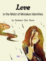 Love in the Midst of Mistaken Identities Cover Image