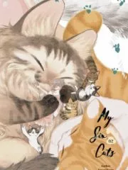 6 Cats Rush to Raise Me Cover Image