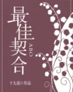Perfect Match Cover Image