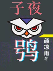 The Midnight Owl Cover Image