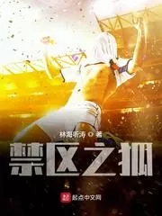 Fox in the Penalty Area Cover Image