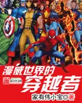 The Traverser of Marvel World Cover Image