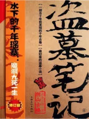 Daomu Biji Cover Image
