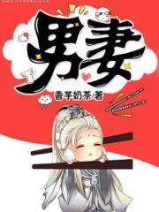 The Male Wife Cover Image
