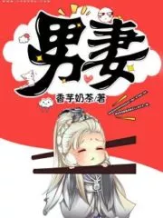 The Male Wife Cover Image