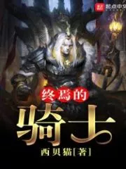 The Final Knight Cover Image
