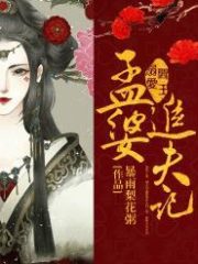 Meng Po’s Husband Chasing Diary Cover Image
