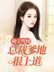 The Lovely Baby’s Arrival: CEO Daddy is on the Way Cover Image