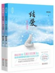 Moonshine & Valentine: His Excellency’s First Love Cover Image