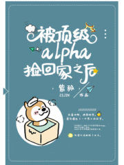 After Being Picked up by the Top Alpha Cover Image