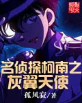 Detective Conan: The Grey Winged Angel Cover Image
