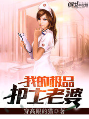 My Wonderful Nurse Wife Cover Image
