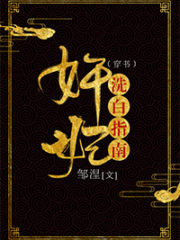 The Treacherous Concubine’s Guide To Whitewashing Cover Image