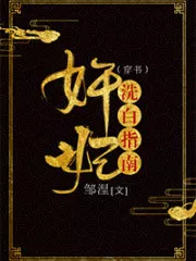 The Treacherous Concubine’s Guide To Whitewashing Cover Image