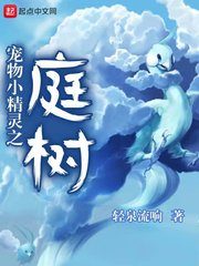 Pokemon Court Cover Image