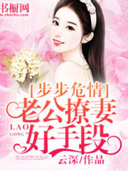 Step In Dangerous Love Cover Image