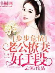 Step In Dangerous Love Cover Image