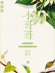 The Hottie Cover Image