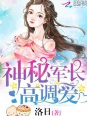 Mysterious Commander, High Profile Love Cover Image