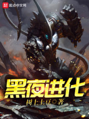 Night Evolution Cover Image