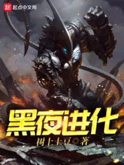 Night Evolution Cover Image