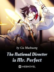 The National Director is Mr. Perfect Cover Image