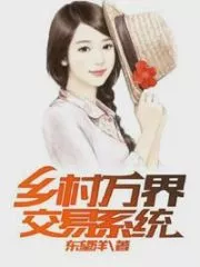 Village World Trading System Cover Image