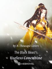 The Black Beast’s Useless Concubine Cover Image