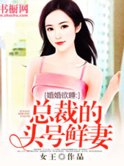 The President’s Number One Fresh Wife Cover Image