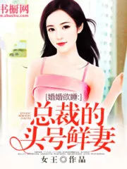 The President’s Number One Fresh Wife Cover Image