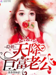Hidden Marriage: A Heaven-sent Billionaire Husband Cover Image
